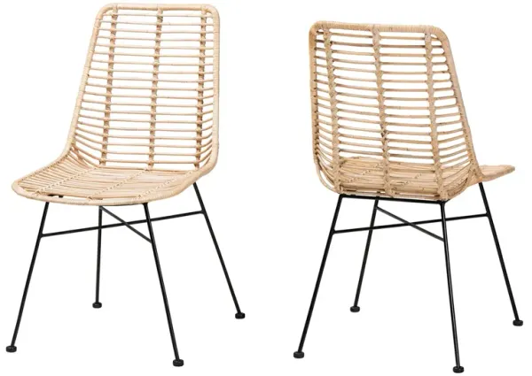 Bali & Pari Manhattan Modern Natural Brown Rattan and Black Metal 2-Piece Dining Chair Set