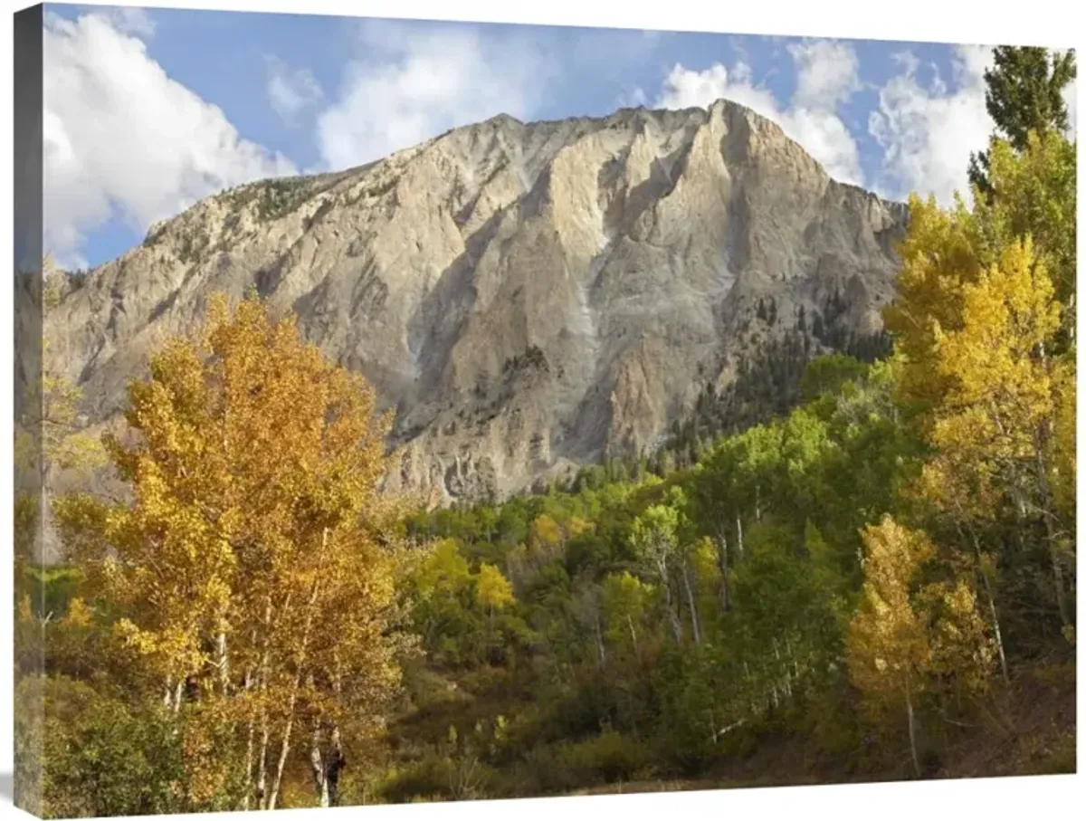 Marcellina Mountain near Crested Butte, Colorado-Canvas Art-32x24