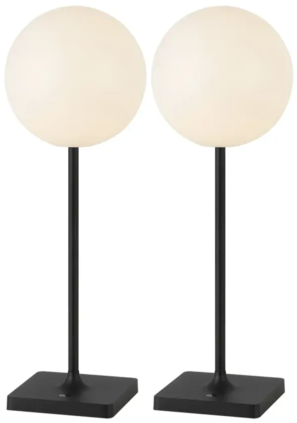 Allie 17.5" Modern Minimalist Indoor/Outdoor Metal Globe Rechargeable/Cordless Dimmable Integrated LED Table Lamp with Touch Sensor