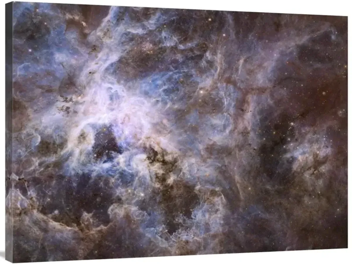 Wide Field 30 Doradus UVIS-Canvas Art-40x30