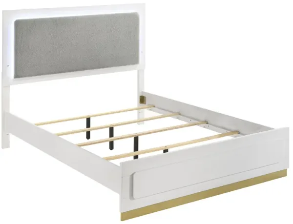 Caer Queen Size Bed, LED Panel Tall Headboard, Gray Upholstery, White Okume - Benzara