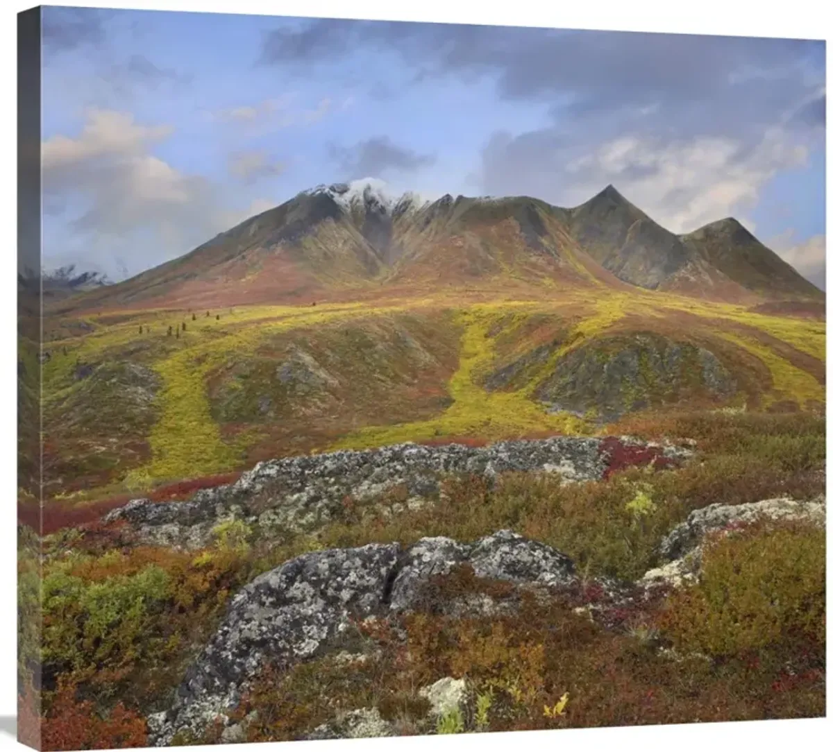 Cloudy Range, Tombstone Territorial Park, Yukon, Canada-Canvas Art-30x27.3
