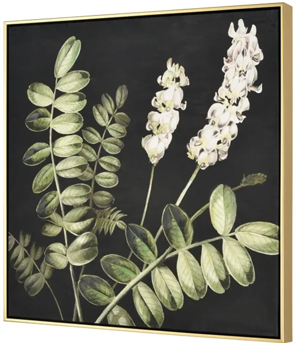 Botanical Study II Framed Wall Art