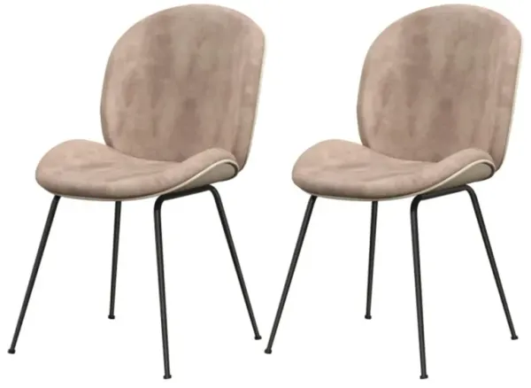 Hivvago Set of 2 Armless Dining Chairs with Metal Base and Padded Seat-Coffee
