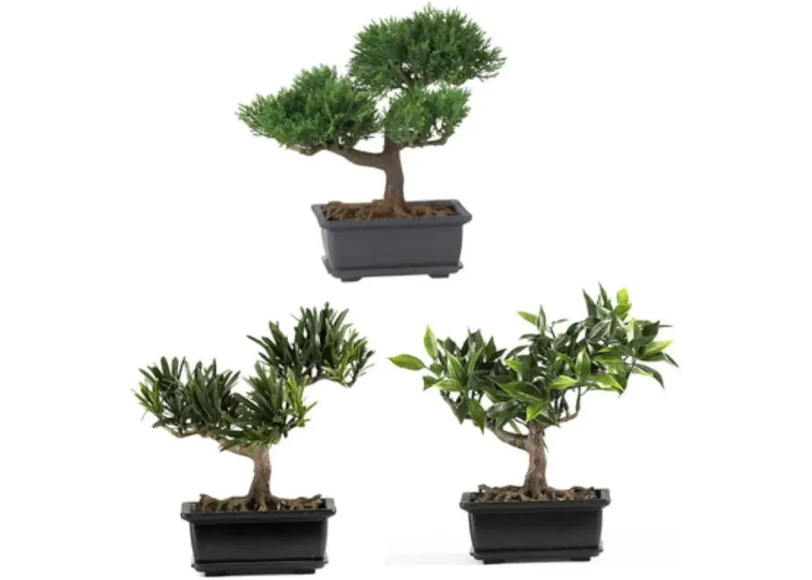 HomPlanti Set of 3 8.5" Bonsai Silk Plant Collection