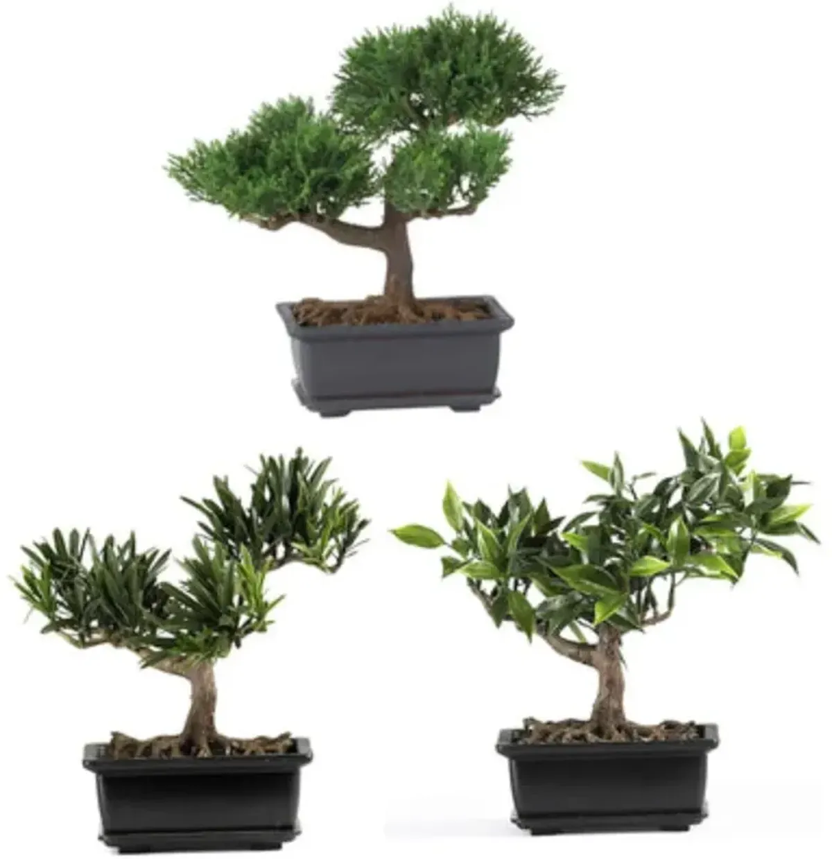 HomPlanti Set of 3 8.5" Bonsai Silk Plant Collection