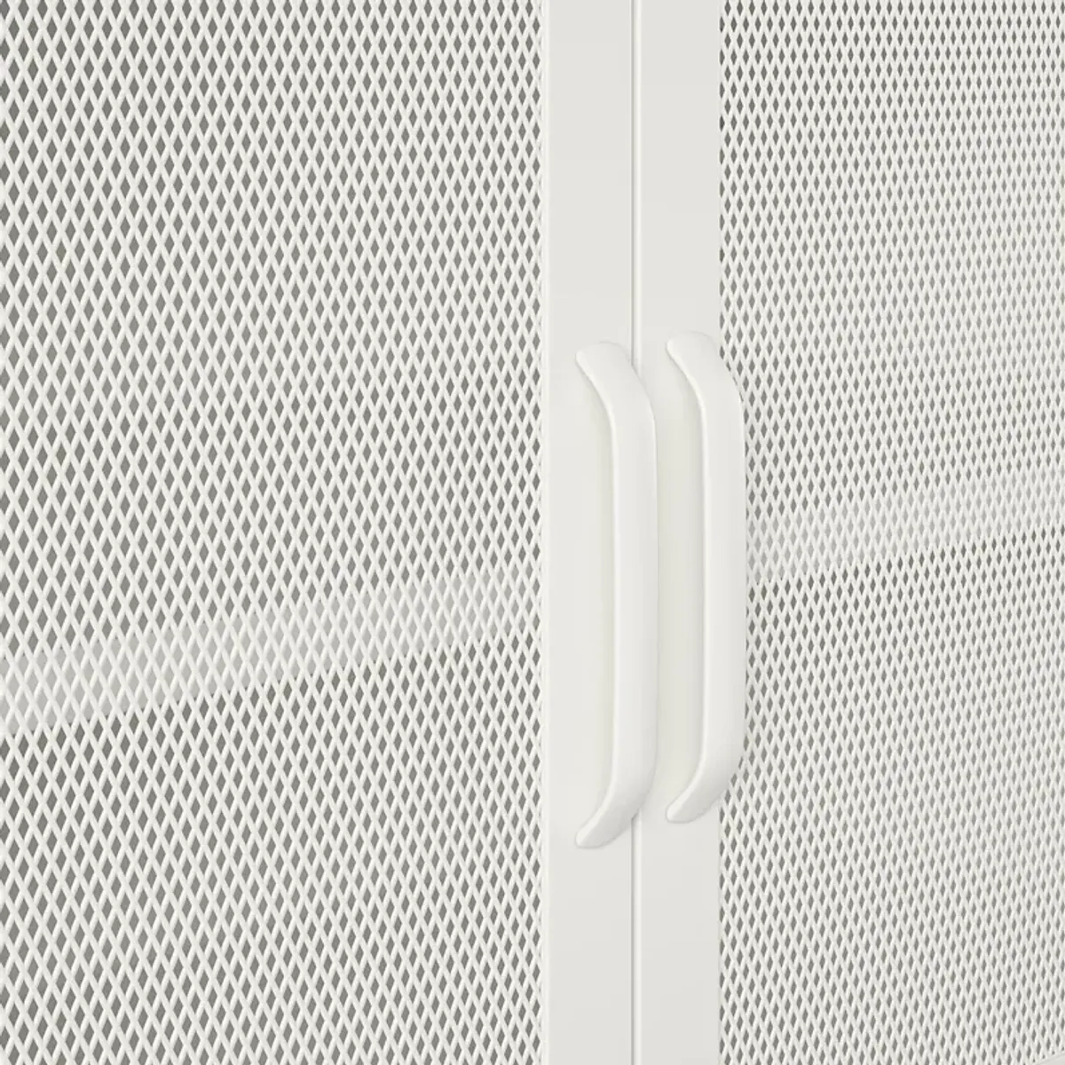 Shadwick Wide 2 Door Accent Cabinet-Mesh Metal Locker