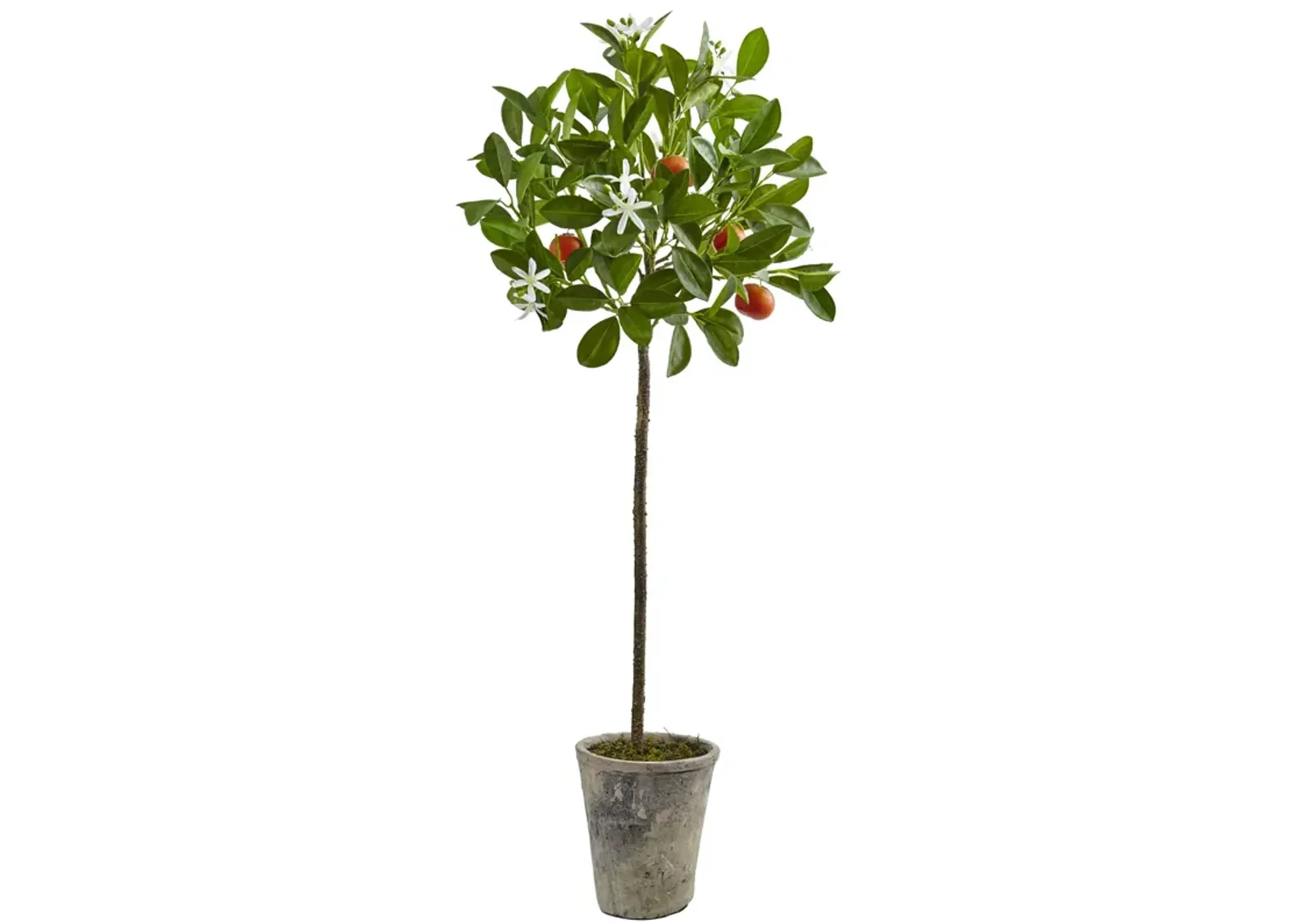 HomPlanti 38 Inches Potted Orange Tree