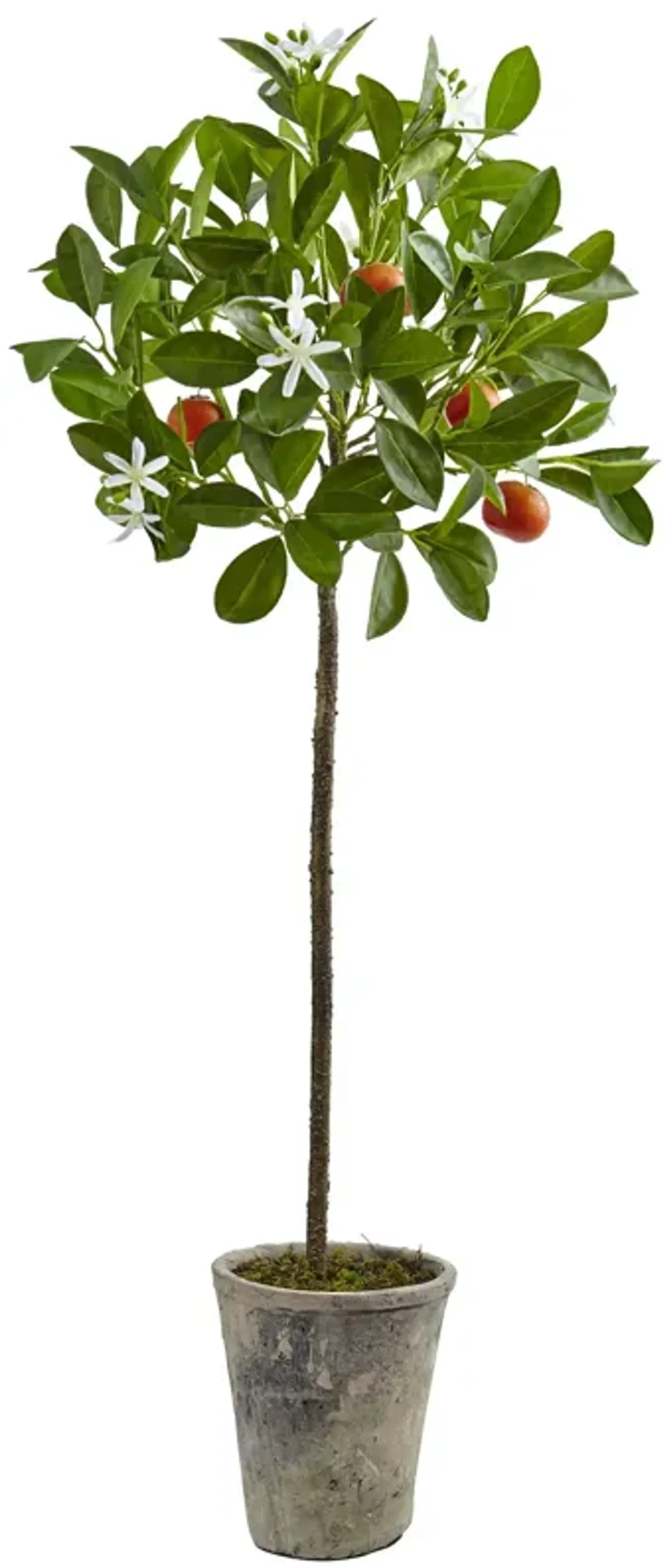 Hivvago 38 Inches Potted Orange Tree