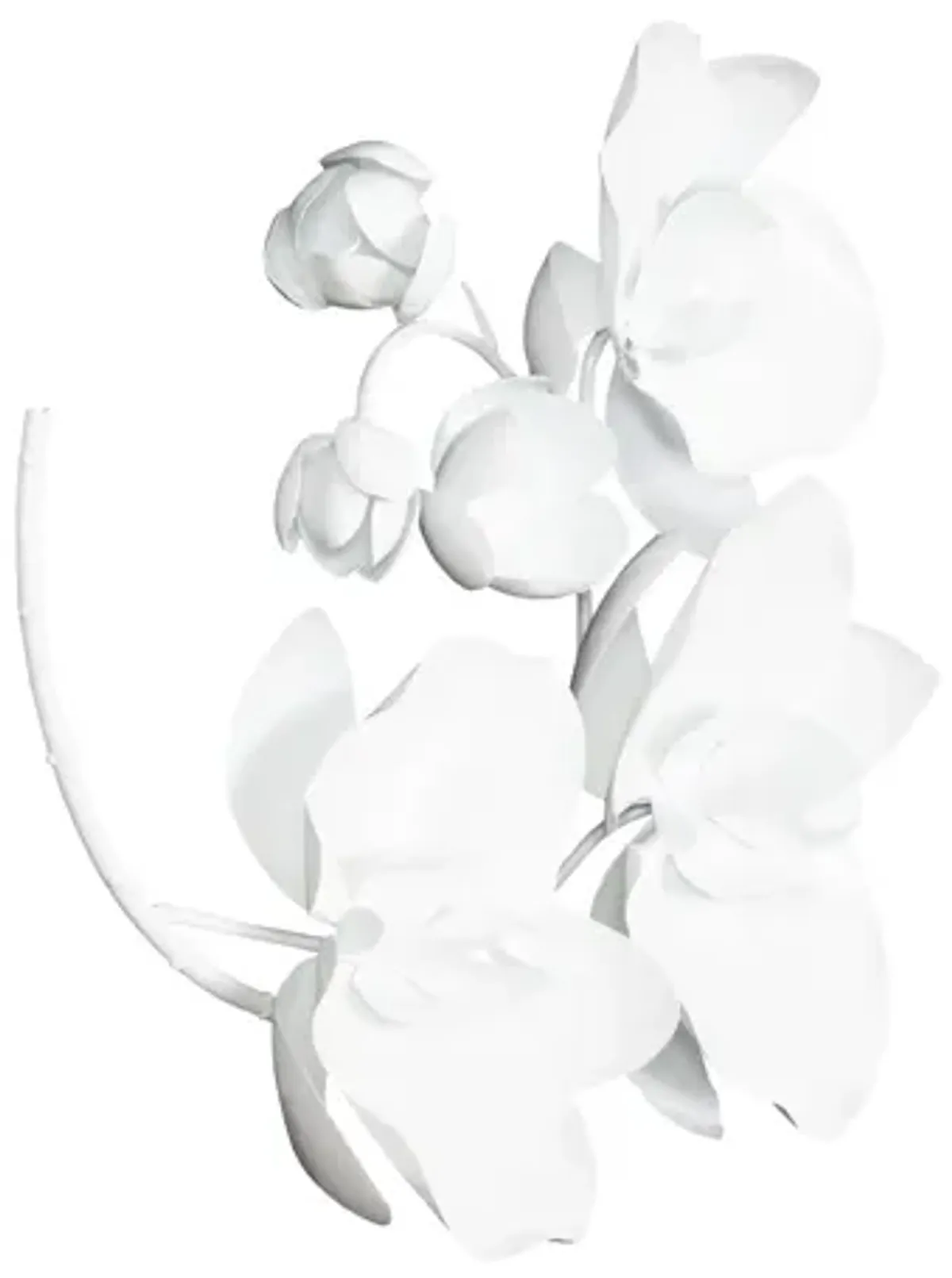 Orchid Sprig Small Wall Art