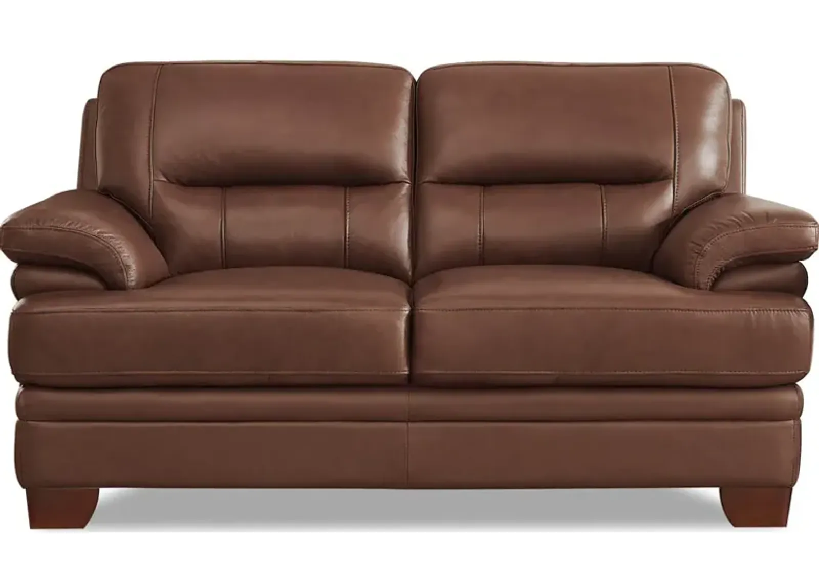 Luxor Top Grain Leather Loveseat