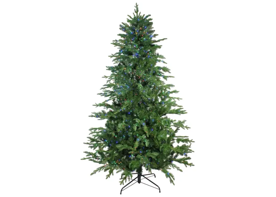 7.5' Pre-Lit Medium Ashland Sitka Spruce Artificial Christmas Tree - Multicolor LED Lights