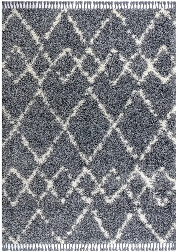 Mercer Shag Plush Tassel Moroccan Tribal Geometric Trellis Area Rug