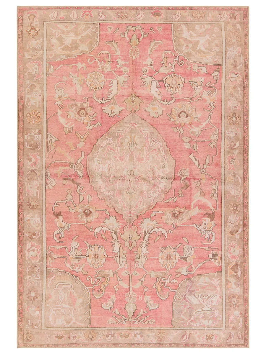 Garcia Cheney Pink 4' x 6' Rug