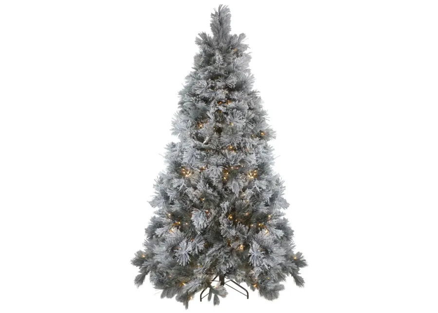 7.5' Pre-Lit Full Black Spruce Artificial Christmas Tree - Clear LED Lights