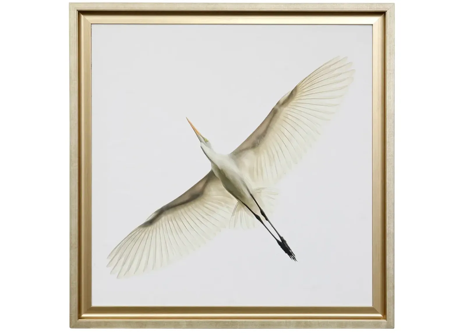 Heron Framed Print