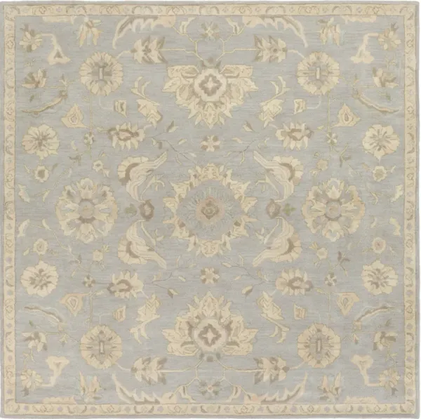 Caesar CAE-1162 2'6' x 8' Gray Rug