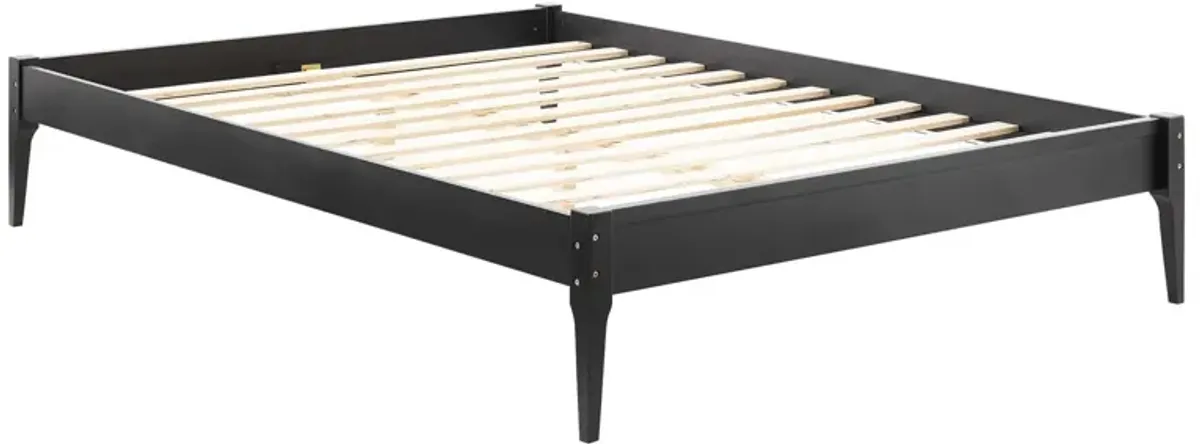 Modway - June Queen Wood Platform Bed Frame