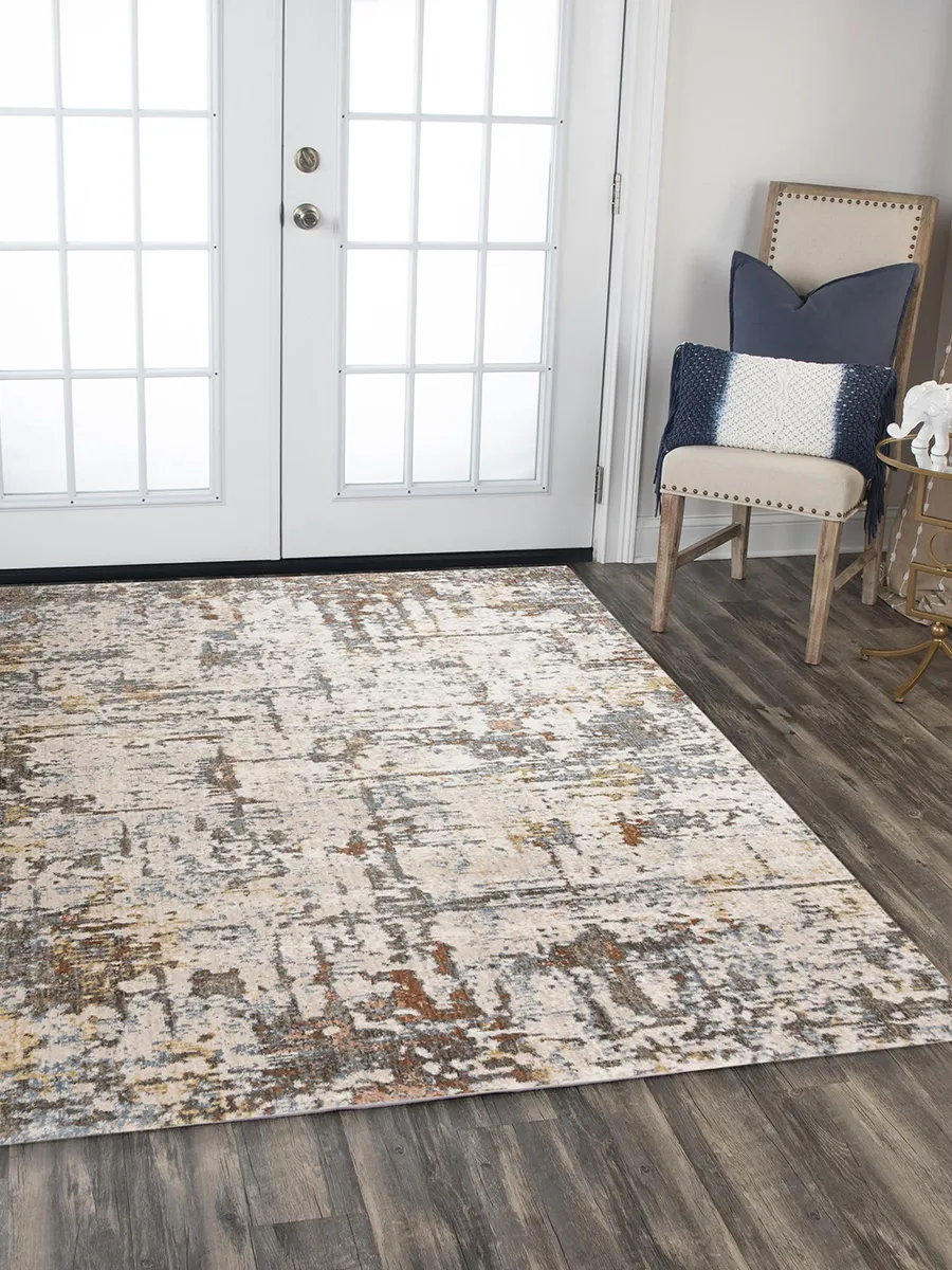 Jasper JAS739 10' x 13' Rug