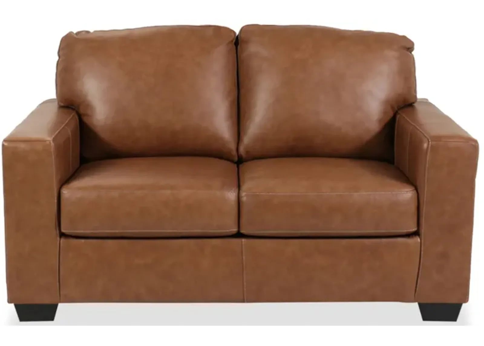 Bolsena Leather Loveseat