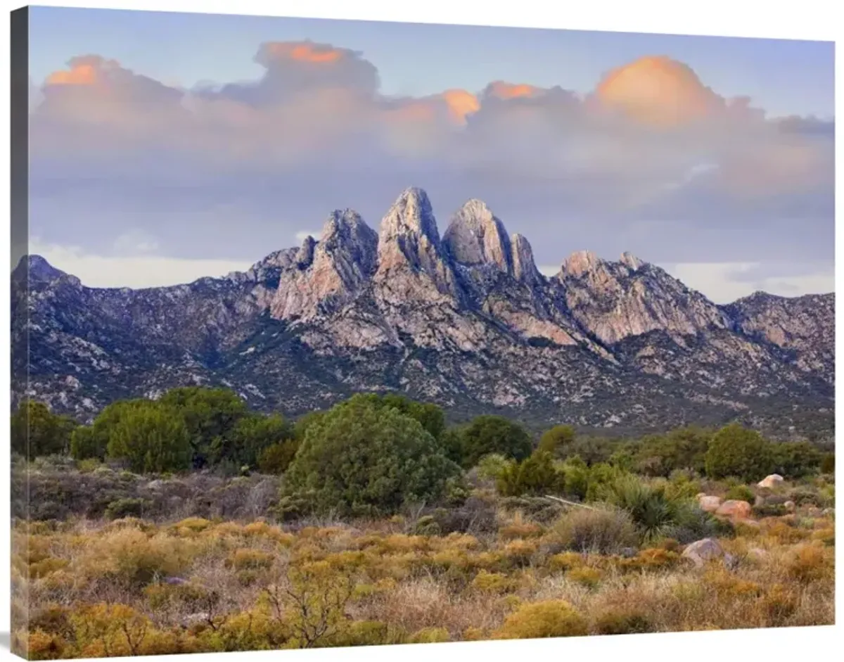 Organ Mountains, Chihuahuan Desert, New Mexico-Canvas Art-40x30