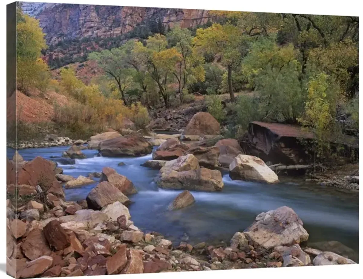 Virgin River flowing through canyon in autumn, Zion National Park, Utah-Canvas Art-32x24