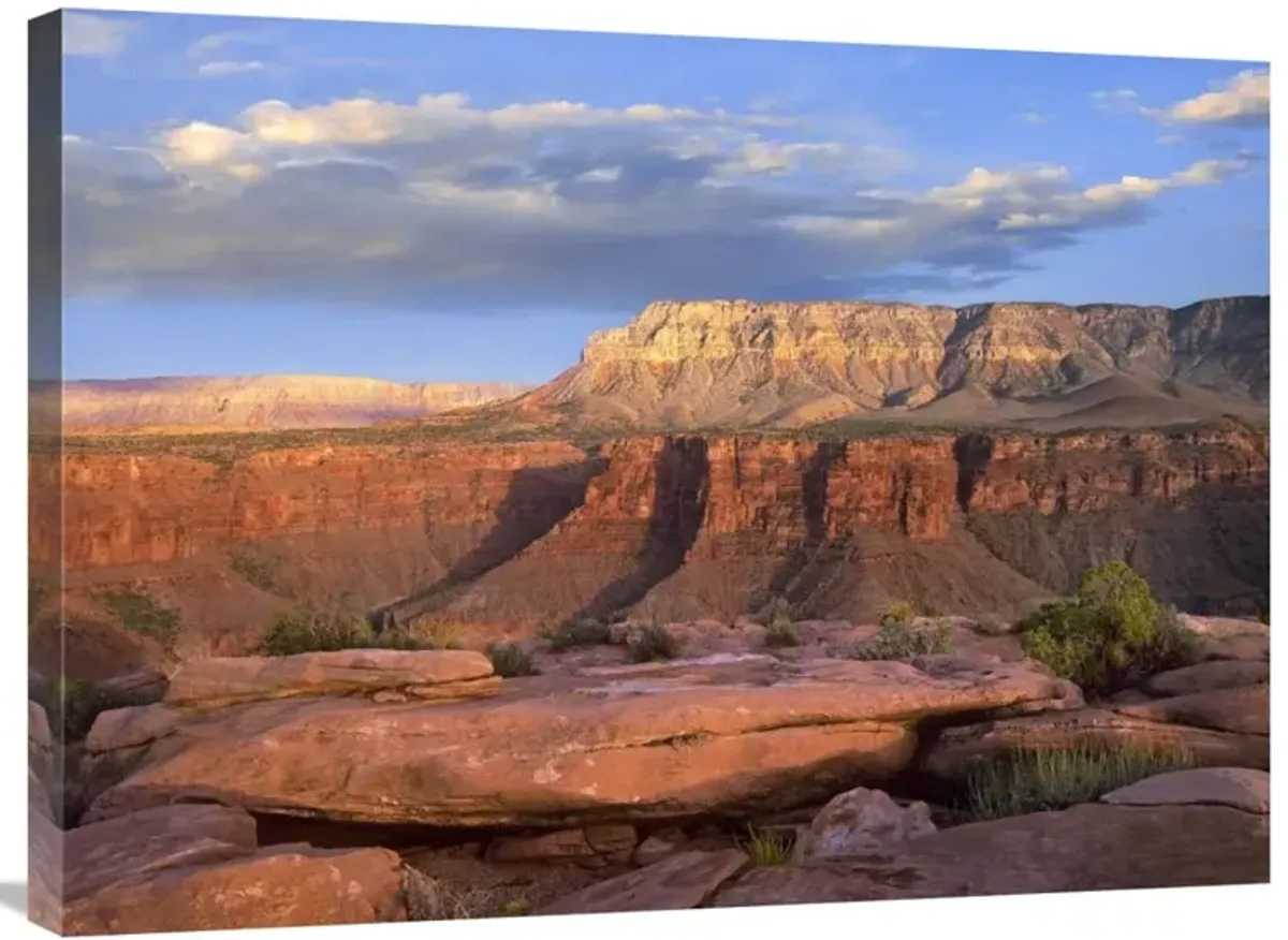 Aubrey Cliffs from Toroweap Overlook, Grand Canyon National Park, Arizona-Canvas Art-32x24