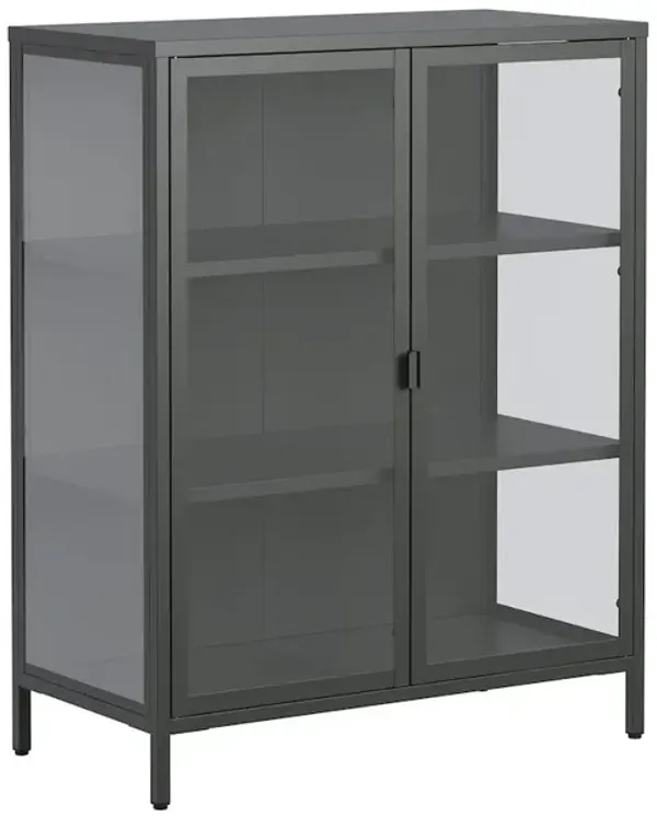 Glamour Home Benzion 39.96-inch Black Two Door Storage Cabinet with Clear Doors