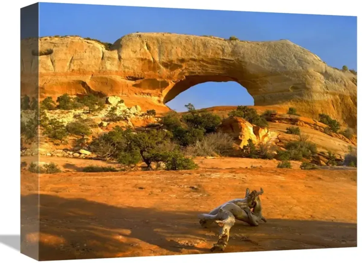 Wilson Arch with a span of 91 feet and height of 46 feet, made of entrada sandstone, Utah-Canvas Art-16x12