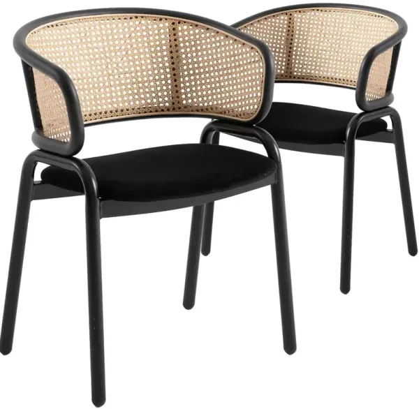 LeisureMod Dining Chair With Stainless Steel Legs Velvet Seat and Wicker Back