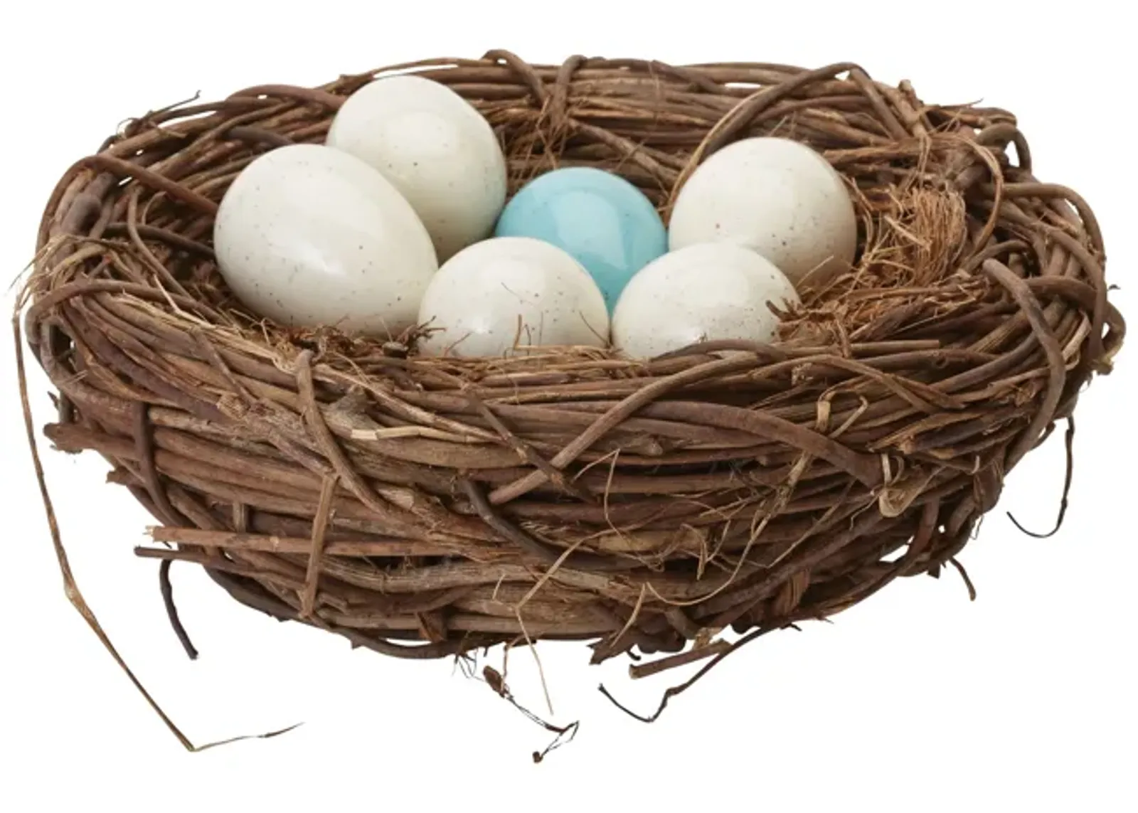 Tree Swallow Nest in Nest