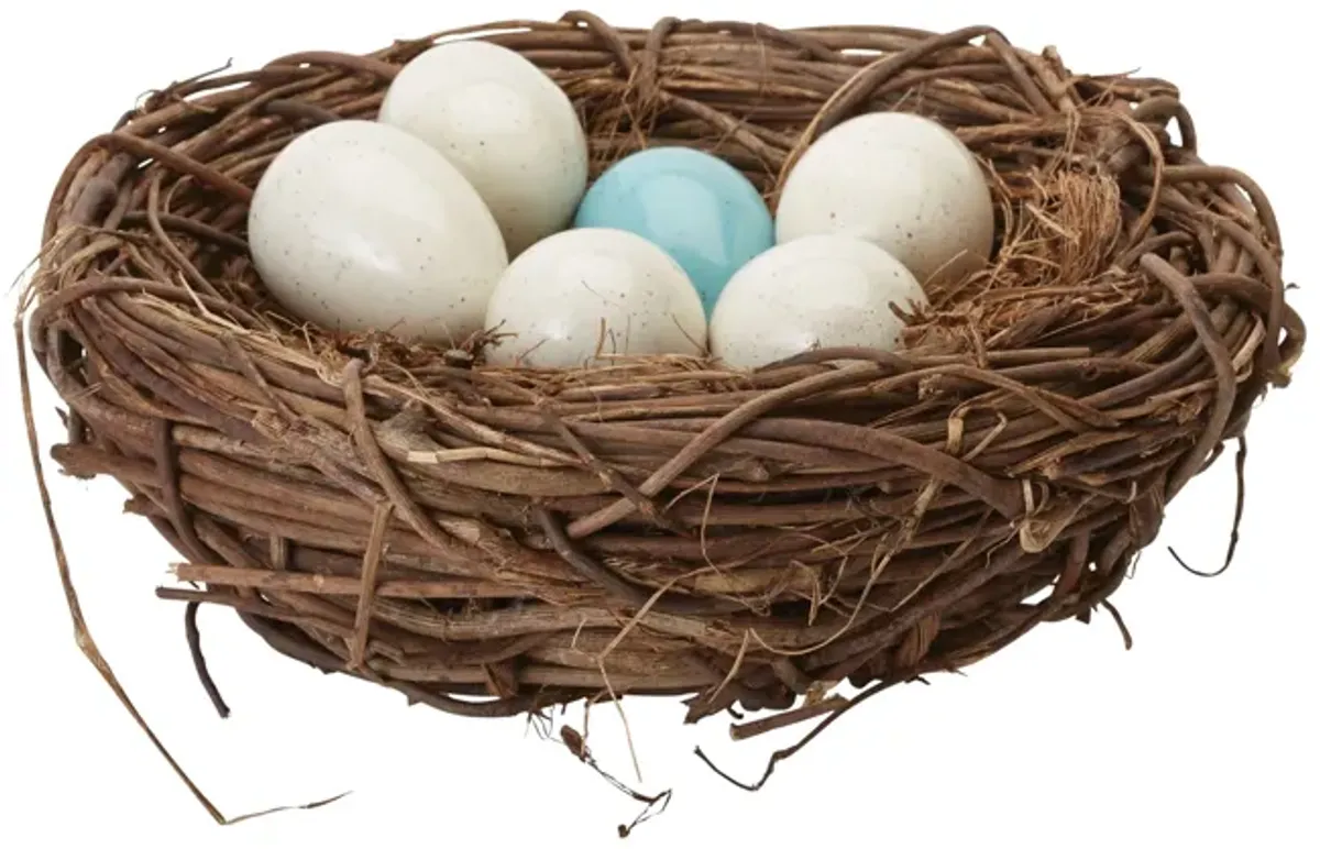 Tree Swallow Nest in Nest