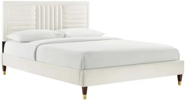 Modway - Sofia Channel Tufted Performance Velvet King Platform Bed