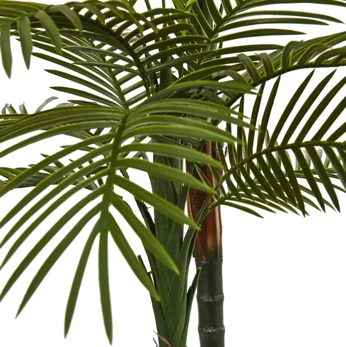 Hivvago 5.5 Feet Double Robellini Palm Tree UV Resistant (Indoor/Outdoor)