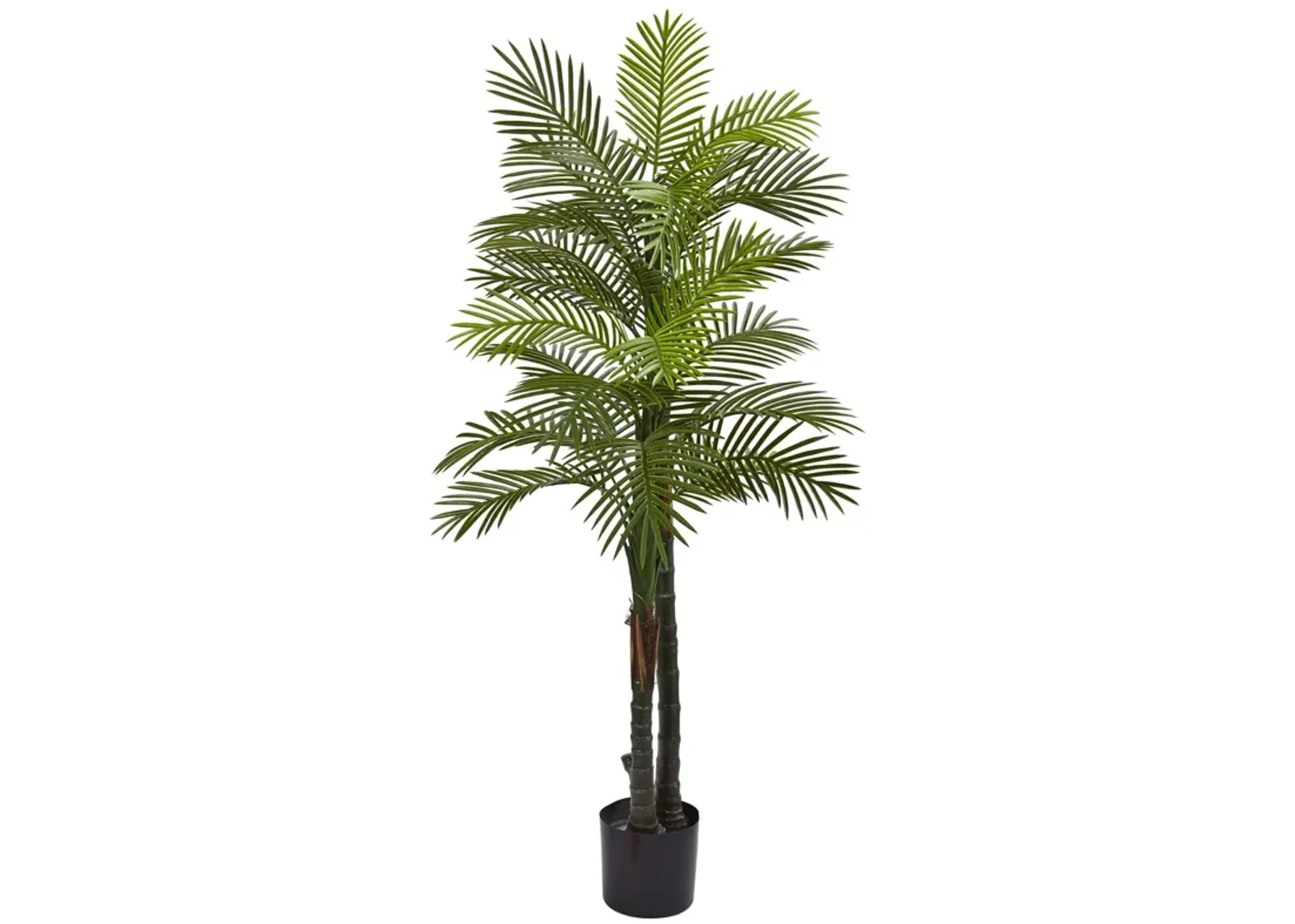 HomPlanti 5.5 Feet Double Robellini Palm Tree UV Resistant (Indoor/Outdoor)