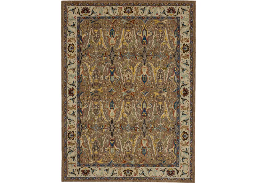 Pandora Envy Taupe 5' 3" X 7' 10" Rug