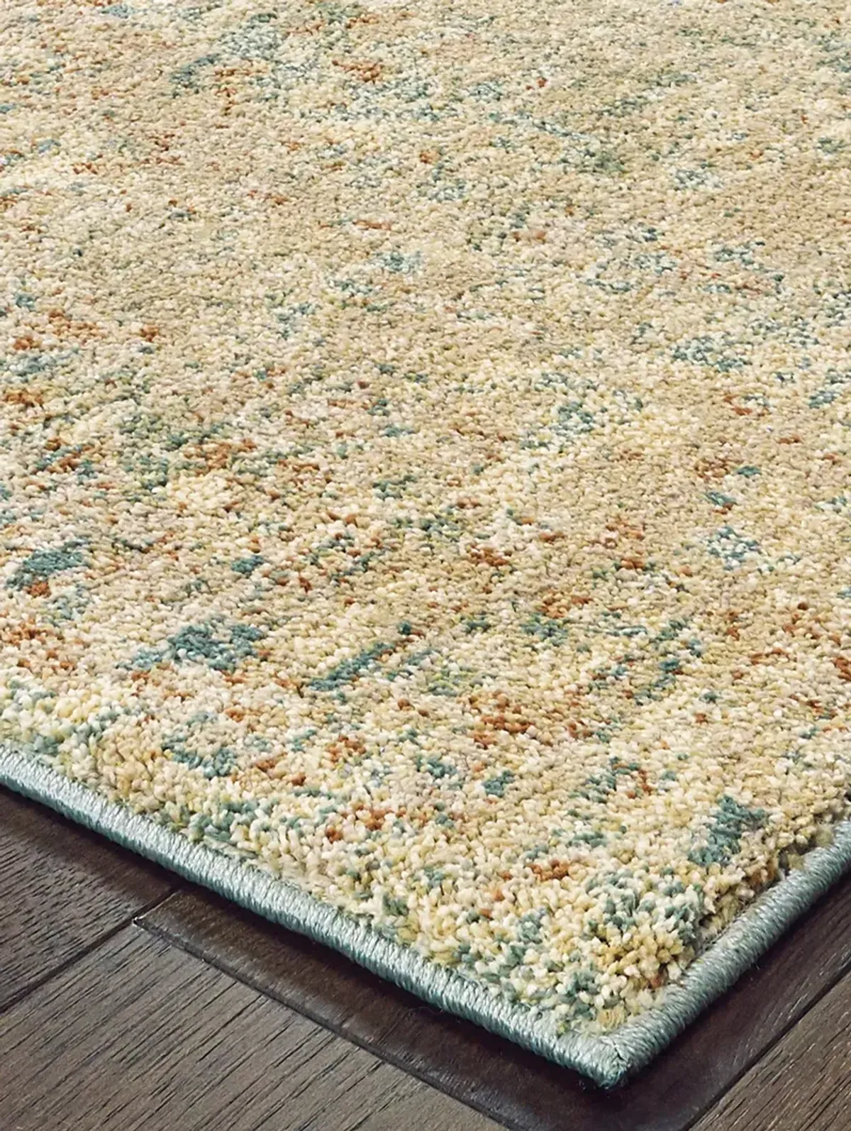 Carson 3'10" x 5'5" Blue Rug