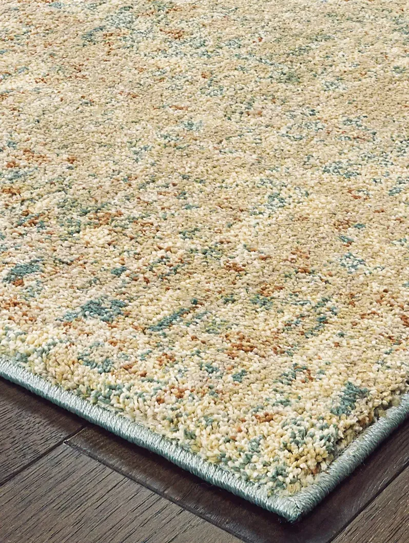 Carson 3'10" x 5'5" Blue Rug