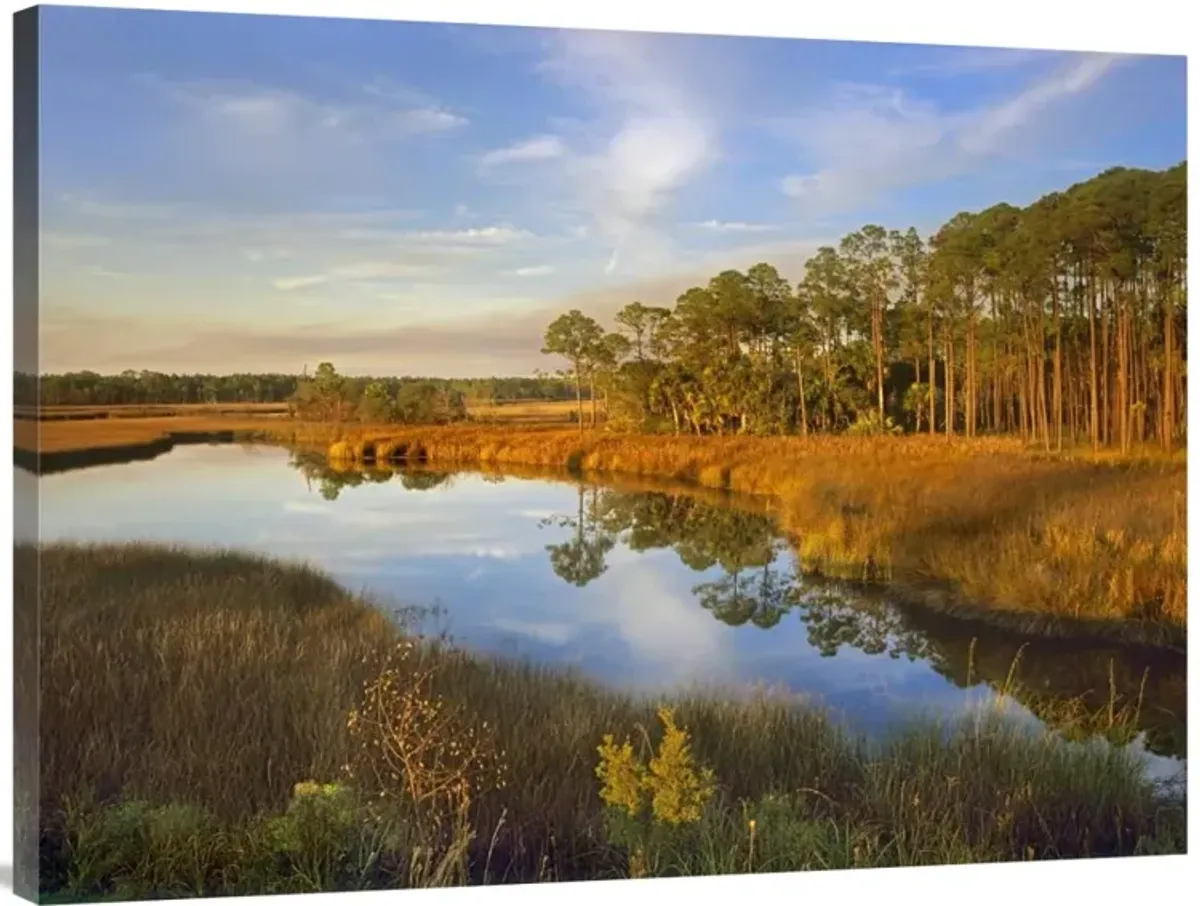 Lake near Apalachicola, Florida-Canvas Art-40x30