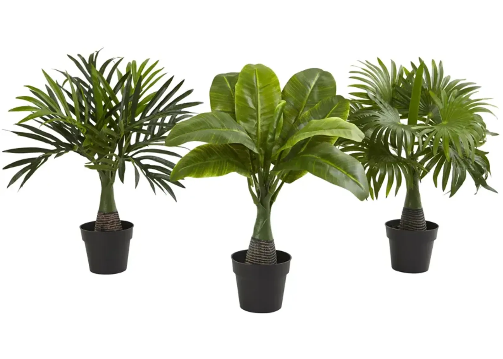 HomPlanti Areca, Fountain & Banana Palm (Set of 3)