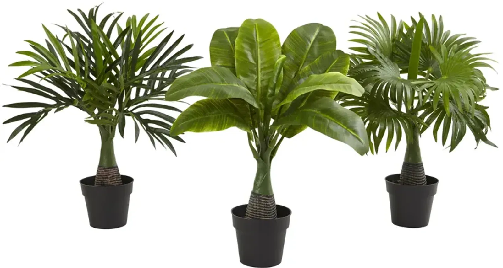 Hivvago Areca, Fountain & Banana Palm (Set of 3)