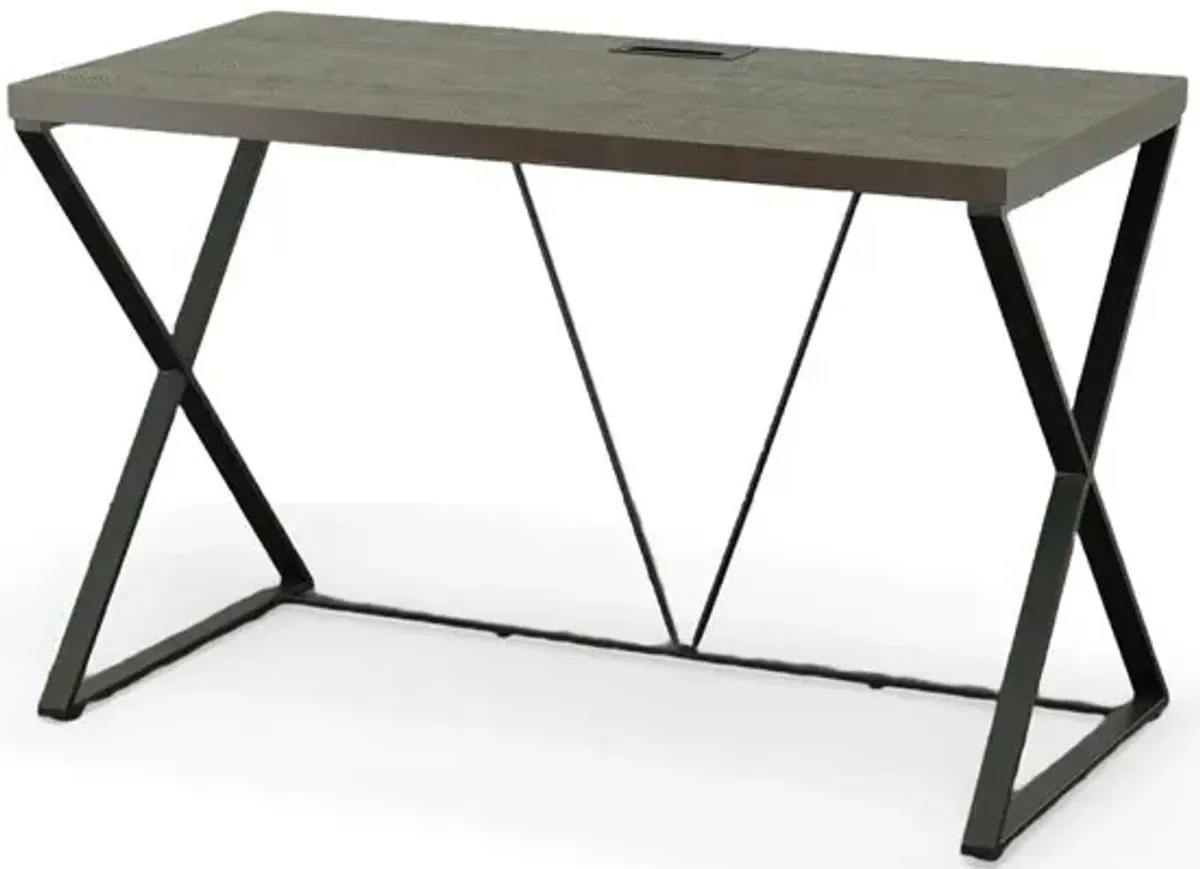 Carolina Living Kendall Computer Desk - Elm/Black