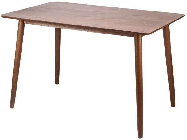 Dining Table for 4 People (L120 cm) Rectangular Wood
