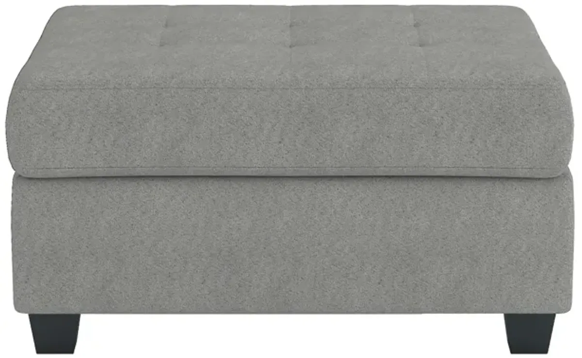 Aston 33 Inch Ottoman, Light Gray Microfiber, Interior Storage, Solid Wood - Benzara