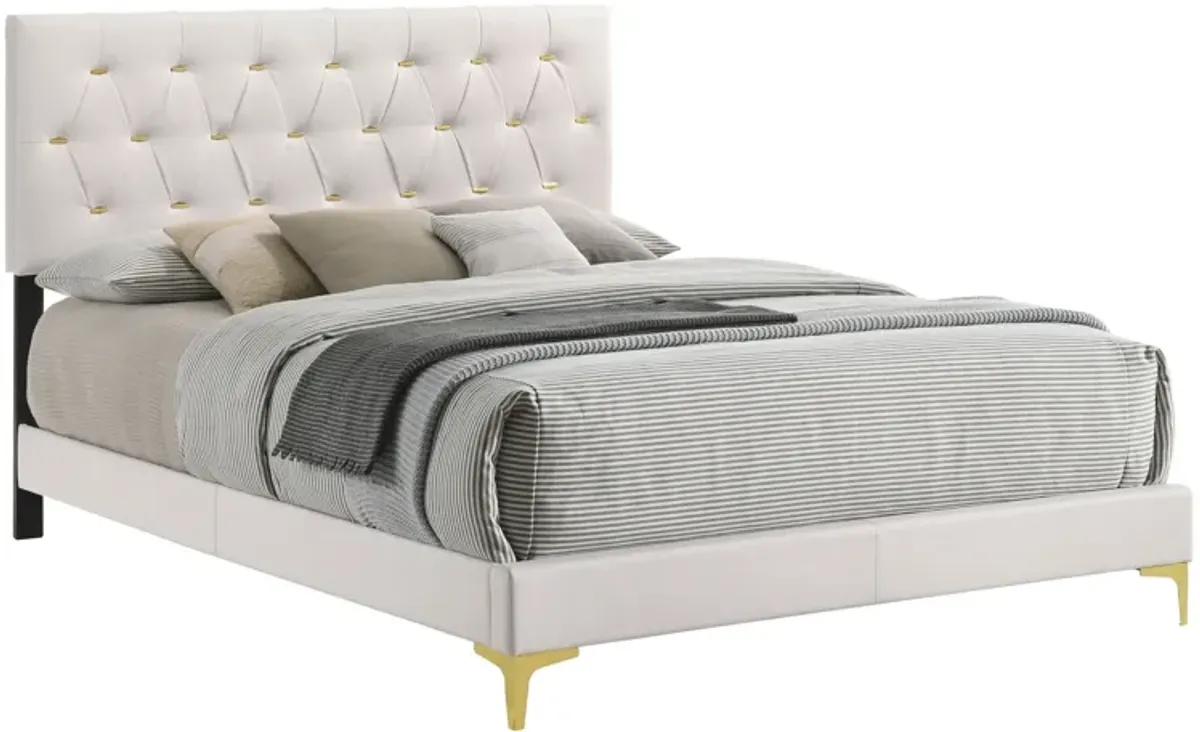 Lif Platform Queen Size Bed, Panel Tufted Headboard, Gold Legs White Velvet-Benzara