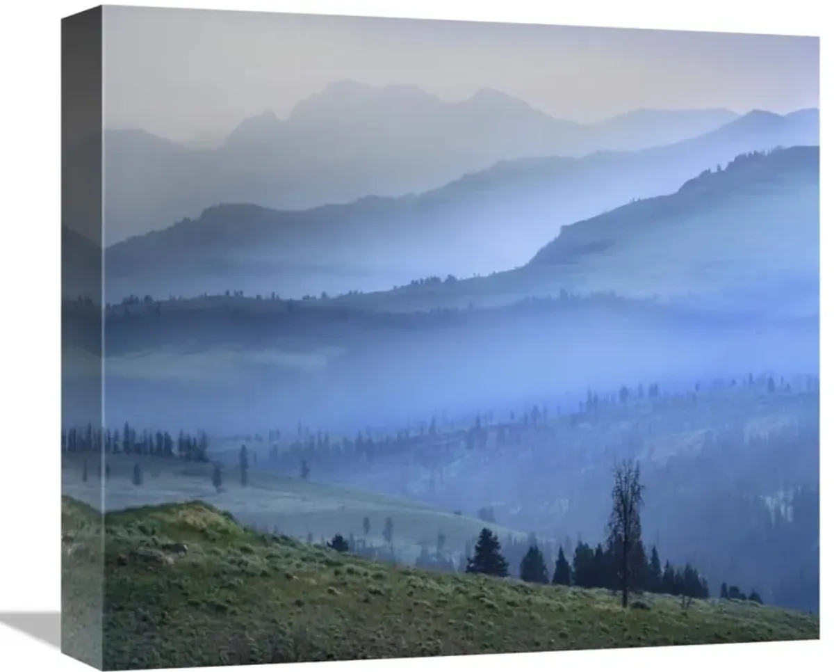 Mist over Absaroka Range, Yellowstone National Park, Wyoming-Canvas Art-16x14.24