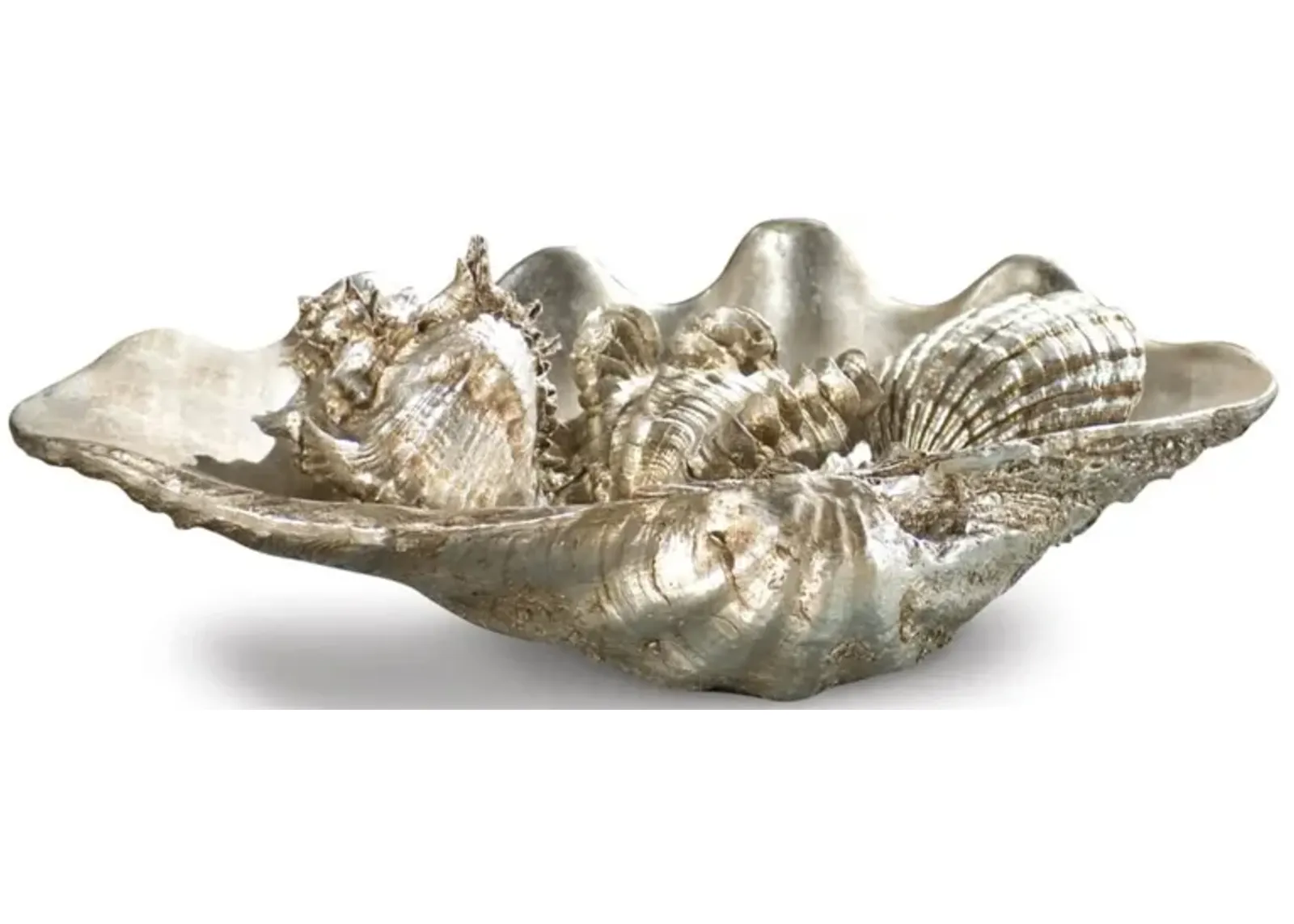 Clam Shell Medium W/Small Shells