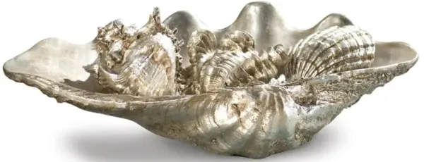 Clam Shell Medium with Small Shells
