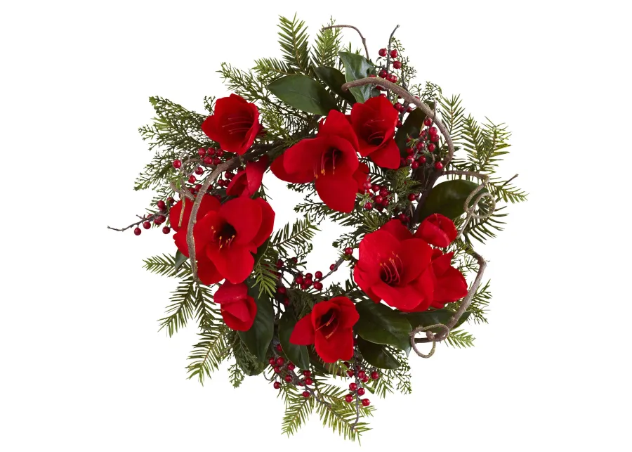 HomPlanti 24" Amaryllis Wreath