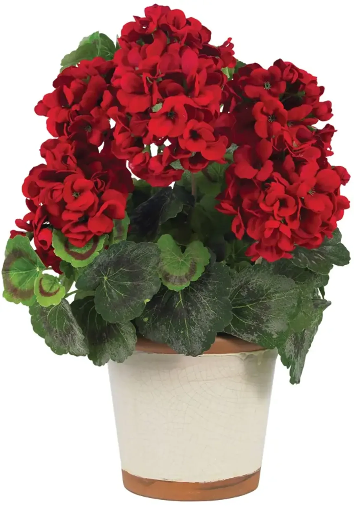 Hivvago Geranium Silk Plant Red